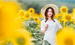 苏米君十二星座每日运势播报（2026年2月12日）