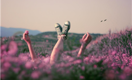 情人节浪漫启幕，十二星座专属心动指南