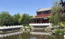 春节过年：招财纳福的秘诀