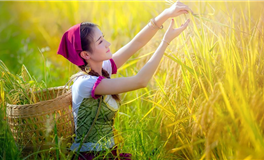 阿妙占星每日星座运势2026年2月10日