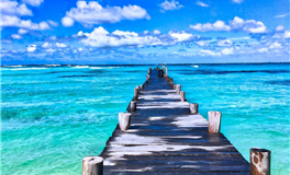 郑博士每日生肖运势2026年2月4日