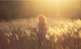 郑博士每日生肖运势2026年2月13日