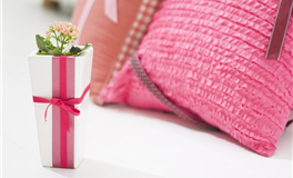 星座日运 2026年2月9日 星期一 农历腊月廿二