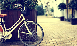 揭秘那些腹黑的星座