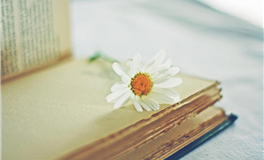 Alex大叔下周重要星象（2.9-2.15）