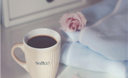 神叨酱十二星座2026年塔罗运势