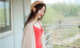 苏民峰：属猪人2026年2月运势/庚寅月运势（2.4-3.4）