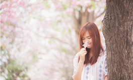 易鑫今日生肖运势2026年2月13日