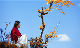 风水破财煞必看：3招化解方法，守住你的财运！