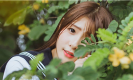 水玲师傅：今日五行能量/五行运势2026年3月12日