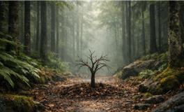 身体在‘报警’！这些健康警讯，别忽视