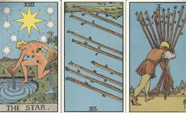 神叨酱射手座2026年3月塔罗运势