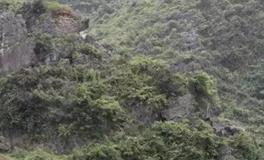 如何为家族择得富贵荣华之基