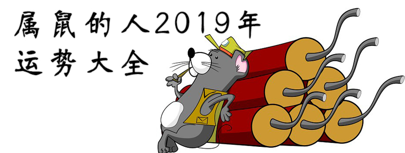 属鼠的人2019年运势大全