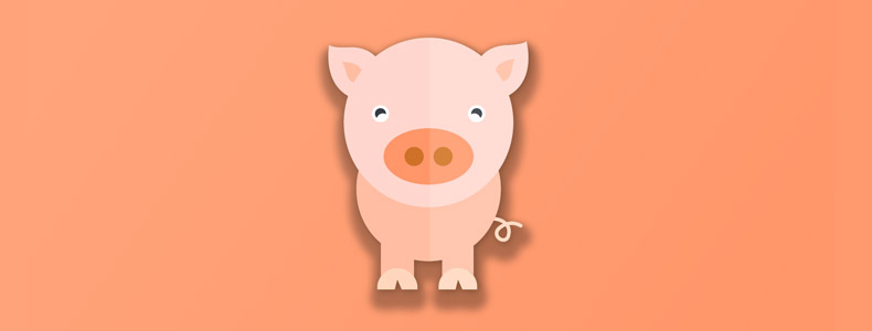 属猪的人2019年运势大全